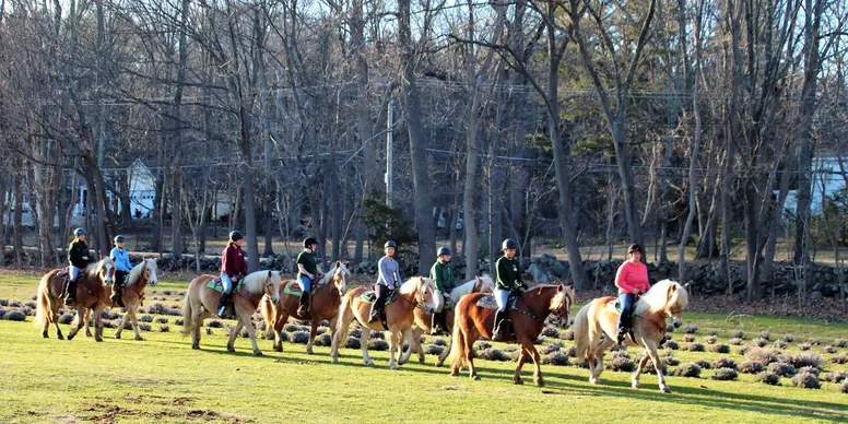 Recreational Riding