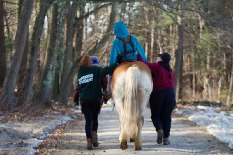 people walking horse