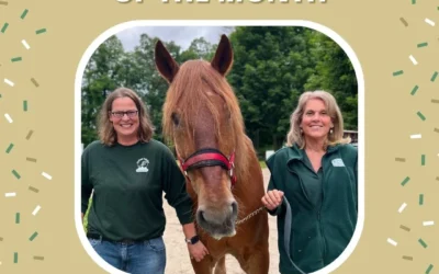 Meet Cathy & Allison: June 2023 Volunteers of the Month