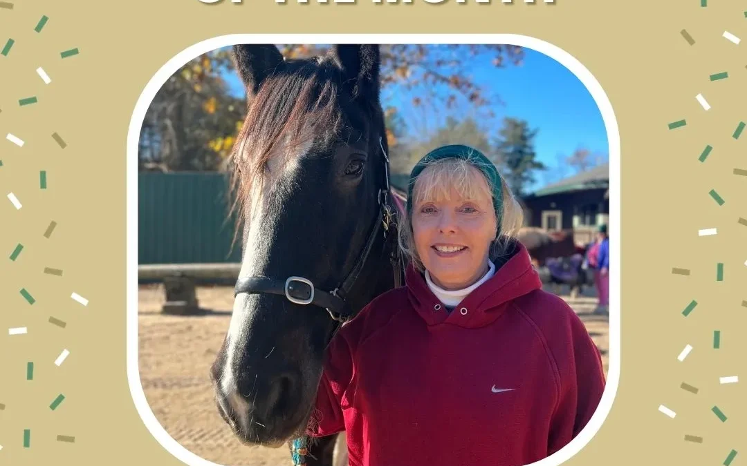 Meet Elaine: November 2023 Volunteer of the Month