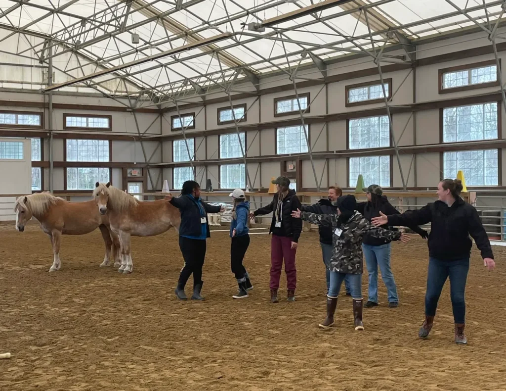 Officers work as a team to control the movement of the horse during an 'At Liberty' exercise