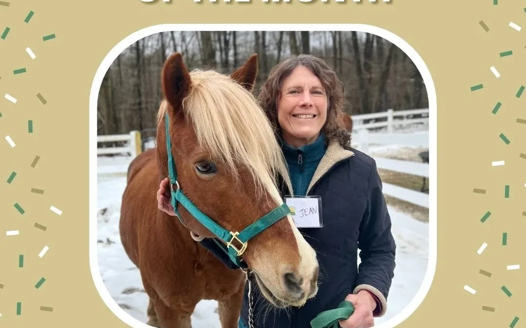 Meet Jean: March 2023 Volunteer of the Month