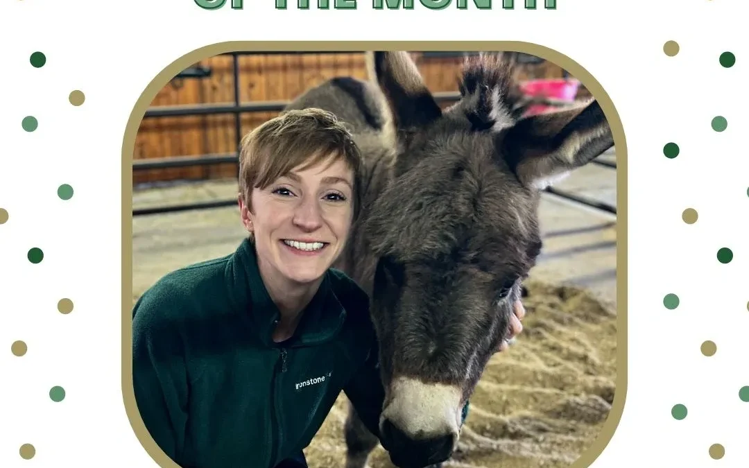 Meet Julia: November Employee of the Month