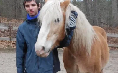 A retirement celebration for Kaiser the therapy pony