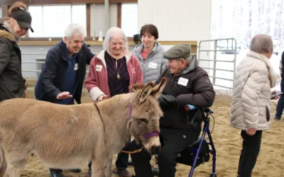 Horses help people with memory loss at Ironstone Farm