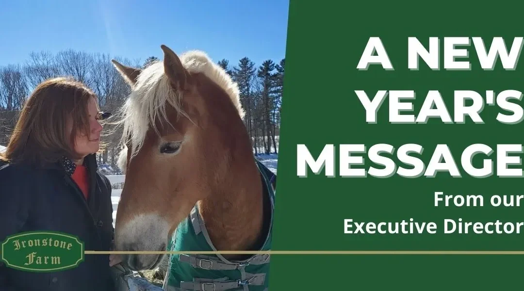 A New Year’s message from our Executive Director