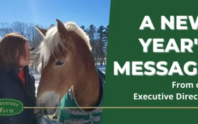 A New Year’s message from our Executive Director