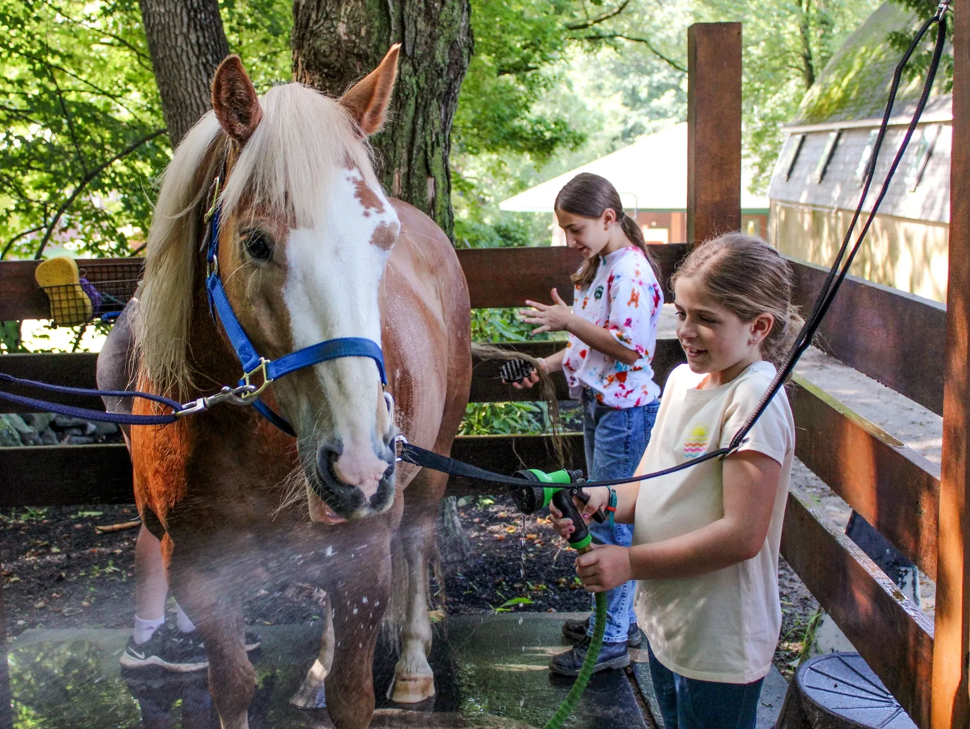 Kids at summer camp