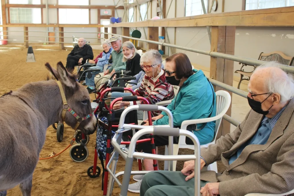 Atria residents meet with Spud the donkey