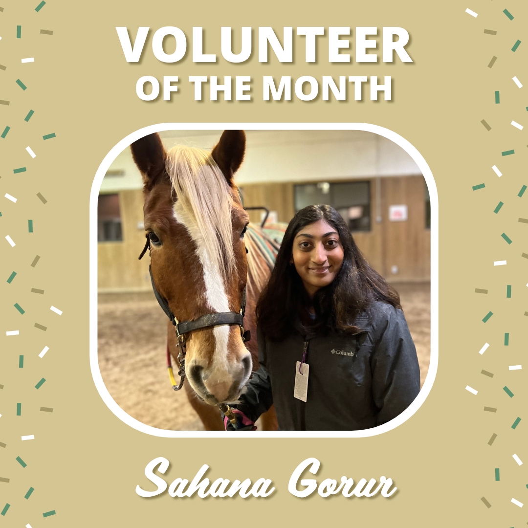 A gold square image with the header, "Volunteer of the Month" celebrating Sahana Gorur. A photo of Sahana is featured, posing with one of the farm's therapy ponies.