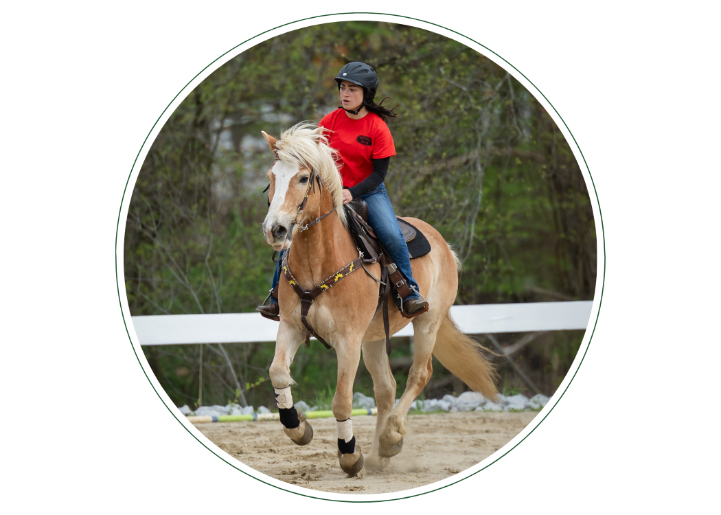 Recreational Riding