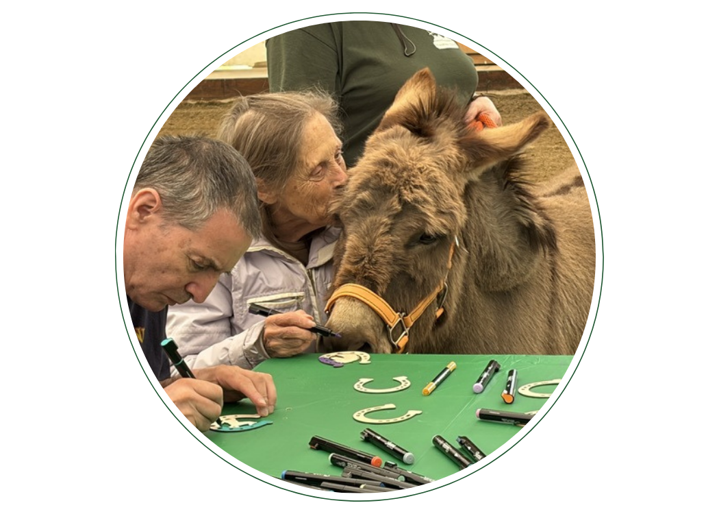 Touch Therapy program